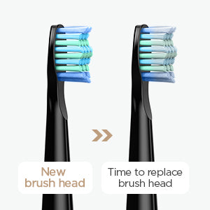 Sonic Electric Rechargeable Toothbrush