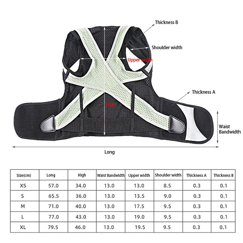 Kyphosis Correction Belt