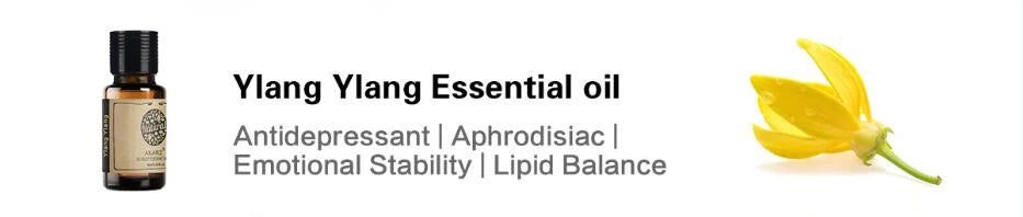 AKARZ Essential Oil Hot Selling Series