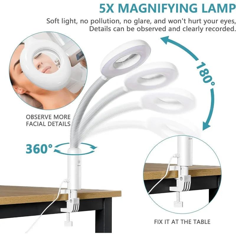 Ionic Ozone Facial Steamer