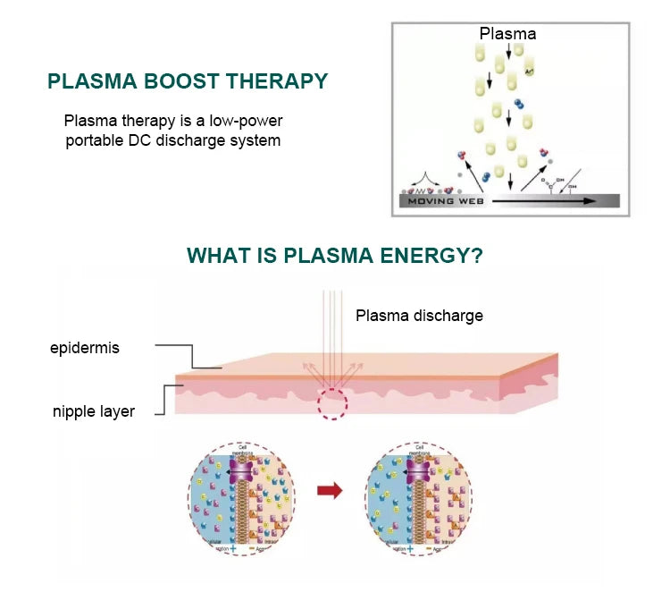 2-in-1 Ozone RF Plasma Facial Machine