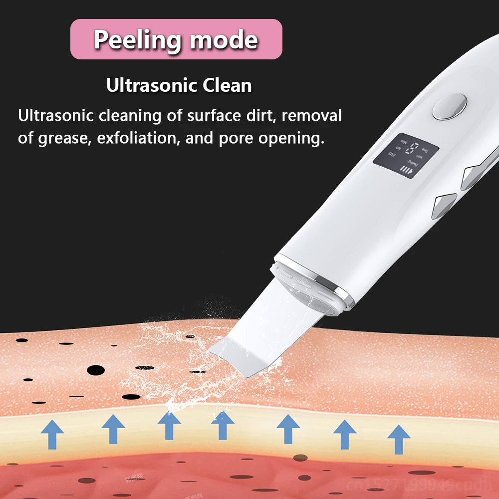 Ultrasonic Skin Scrubber with Nano Sprayer