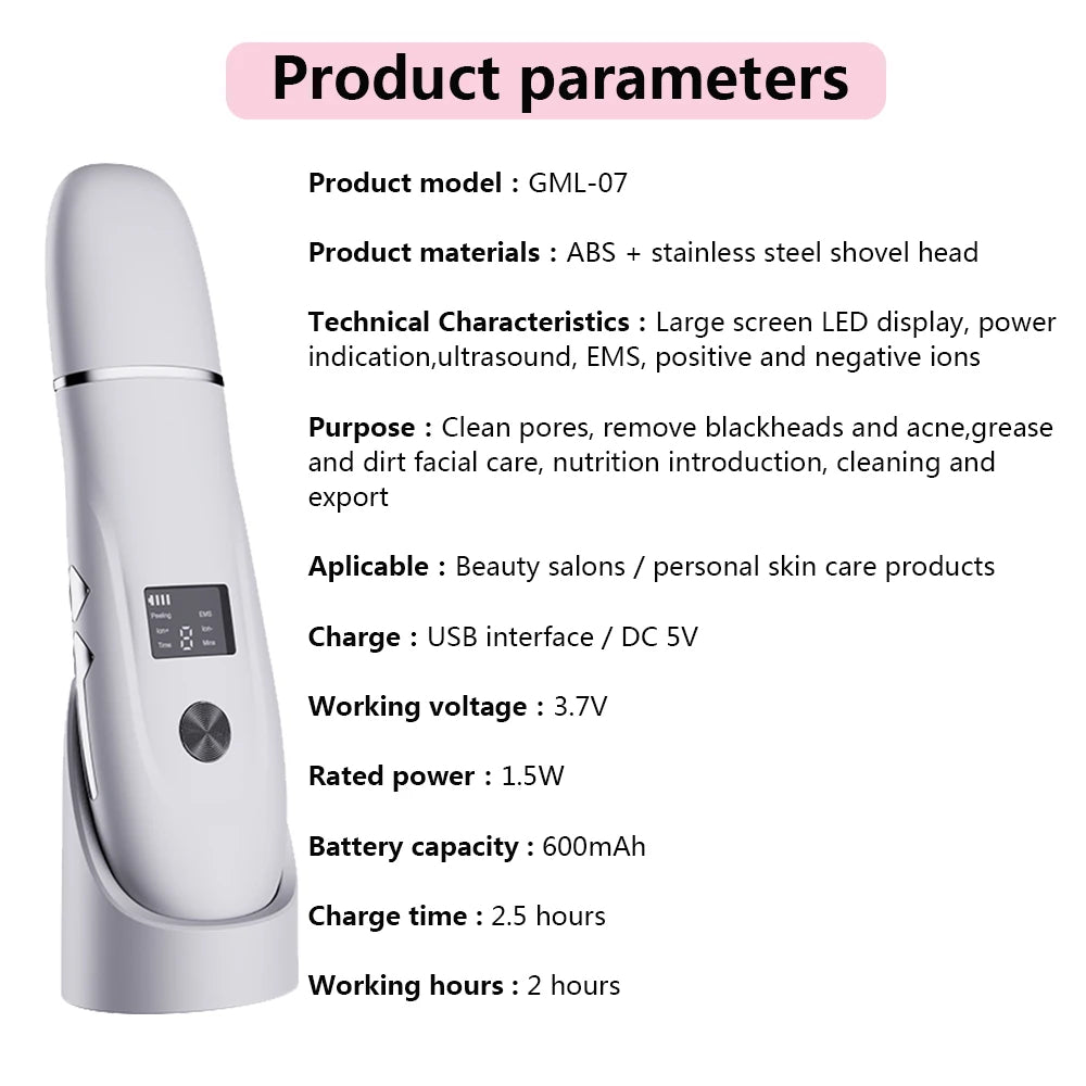 Ultrasonic Skin Scrubber with Nano Sprayer